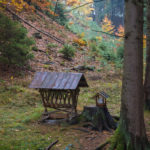 Ako kŕmiť zvieratá v lese